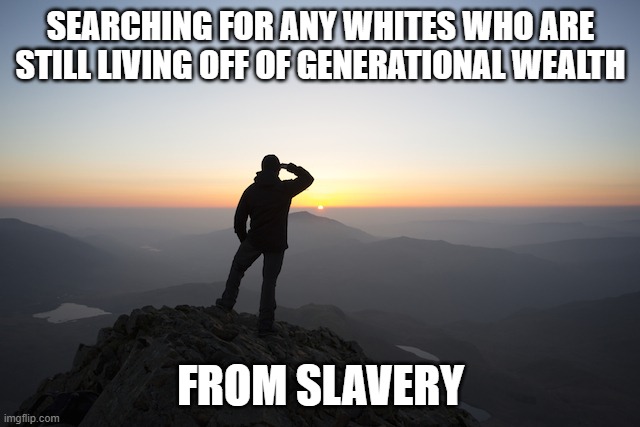 Searching | SEARCHING FOR ANY WHITES WHO ARE STILL LIVING OFF OF GENERATIONAL WEALTH; FROM SLAVERY | image tagged in searching | made w/ Imgflip meme maker