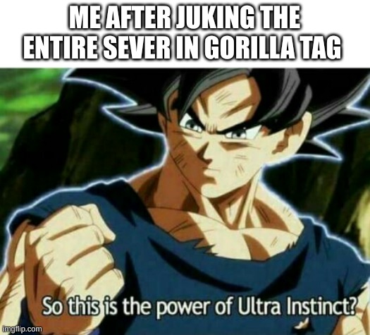 So this is the power of ultra instinct | ME AFTER JUKING THE ENTIRE SEVER IN GORILLA TAG | image tagged in so this is the power of ultra instinct | made w/ Imgflip meme maker