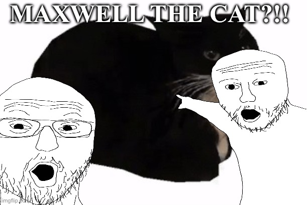 MAXWELL THE CAT?!! | made w/ Imgflip meme maker