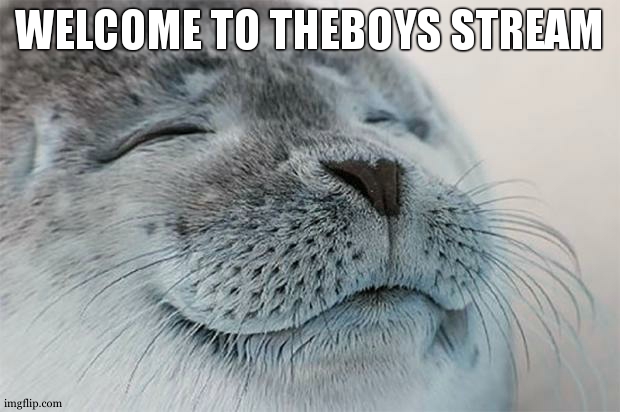 Satisfied Seal | WELCOME TO THEBOYS STREAM | image tagged in memes,satisfied seal | made w/ Imgflip meme maker