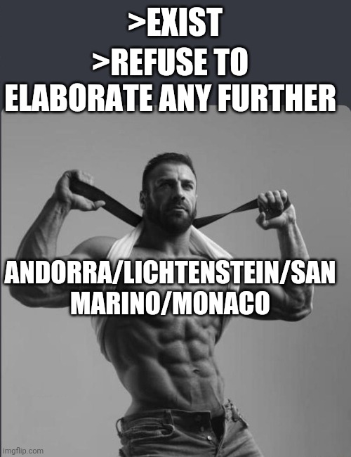 Refuses to elaborate any further | >REFUSE TO ELABORATE ANY FURTHER; >EXIST; ANDORRA/LICHTENSTEIN/SAN MARINO/MONACO | image tagged in refuses to elaborate any further,2westerneurope4u | made w/ Imgflip meme maker