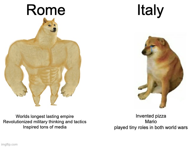 Buff Doge vs. Cheems Meme | Rome; Italy; Worlds longest lasting empire
Revolutionized military thinking and tactics
Inspired tons of media; Invented pizza
Mario
played tiny roles in both world wars | image tagged in memes,buff doge vs cheems | made w/ Imgflip meme maker