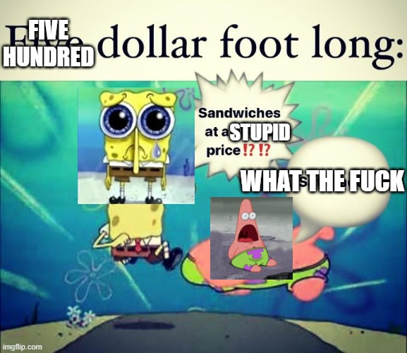 spongeborb and partick can't buy the football | FIVE HUNDRED; STUPID; WHAT THE FUCK | image tagged in 5 dollar foot long,spunch bop | made w/ Imgflip meme maker