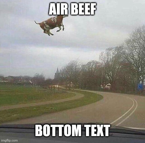 Y'all heard Ground Beef, but are you ready for | AIR BEEF; BOTTOM TEXT | image tagged in air beef | made w/ Imgflip meme maker