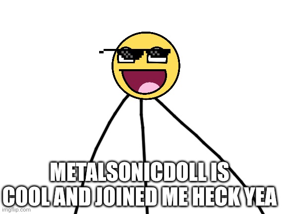 Blank White Template | METALSONICDOLL IS COOL AND JOINED ME HECK YEA | image tagged in blank white template | made w/ Imgflip meme maker