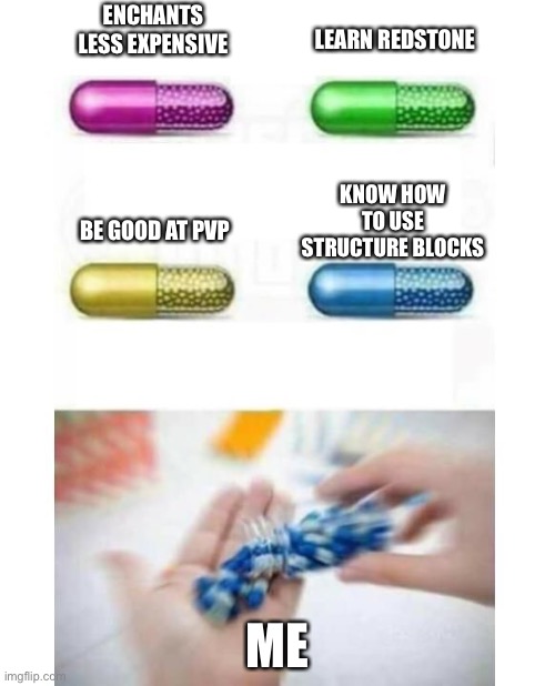 What would you choose? | LEARN REDSTONE; ENCHANTS LESS EXPENSIVE; KNOW HOW TO USE STRUCTURE BLOCKS; BE GOOD AT PVP; ME | image tagged in blank pills meme | made w/ Imgflip meme maker