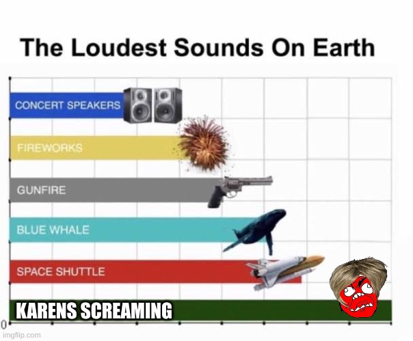 so annoying | KARENS SCREAMING | image tagged in the loudest sounds on earth | made w/ Imgflip meme maker