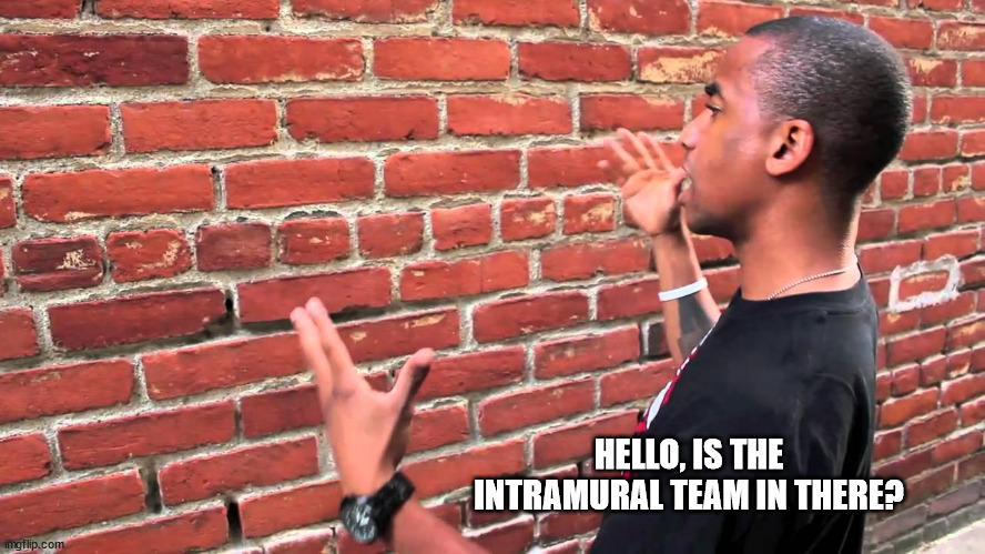 Talking to wall | HELLO, IS THE INTRAMURAL TEAM IN THERE? | image tagged in talking to wall | made w/ Imgflip meme maker