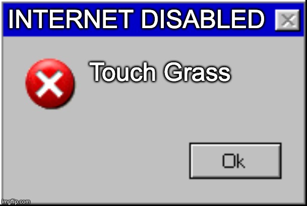 Windows Error Message | INTERNET DISABLED; Touch Grass | image tagged in windows error message | made w/ Imgflip meme maker