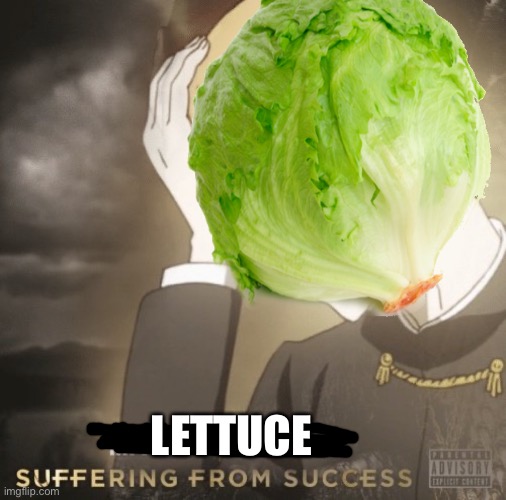 wot de hell | LETTUCE | image tagged in lettuce,lettuces,more lettuces,even more lettuces,cabbage,brazil | made w/ Imgflip meme maker