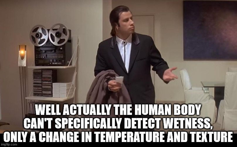 Confused John Travolta | WELL ACTUALLY THE HUMAN BODY CAN'T SPECIFICALLY DETECT WETNESS,
ONLY A CHANGE IN TEMPERATURE AND TEXTURE | image tagged in confused john travolta | made w/ Imgflip meme maker