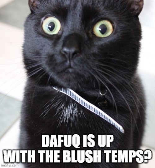 .... | DAFUQ IS UP WITH THE BLUSH TEMPS? | image tagged in memes,woah kitty | made w/ Imgflip meme maker