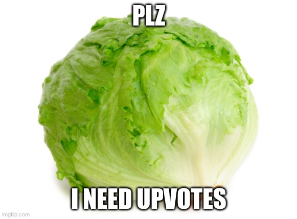 Lettuce  | PLZ; I NEED UPVOTES | image tagged in lettuce | made w/ Imgflip meme maker
