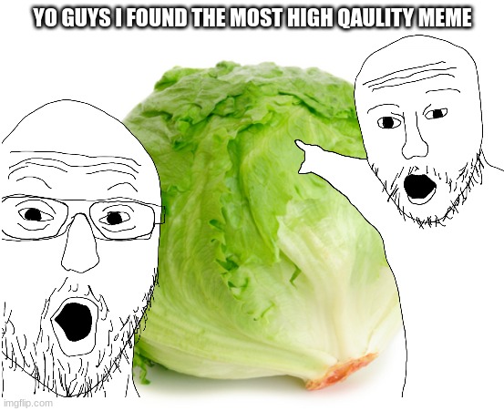 yo so high quality...... | YO GUYS I FOUND THE MOST HIGH QAULITY MEME | image tagged in lettuce | made w/ Imgflip meme maker