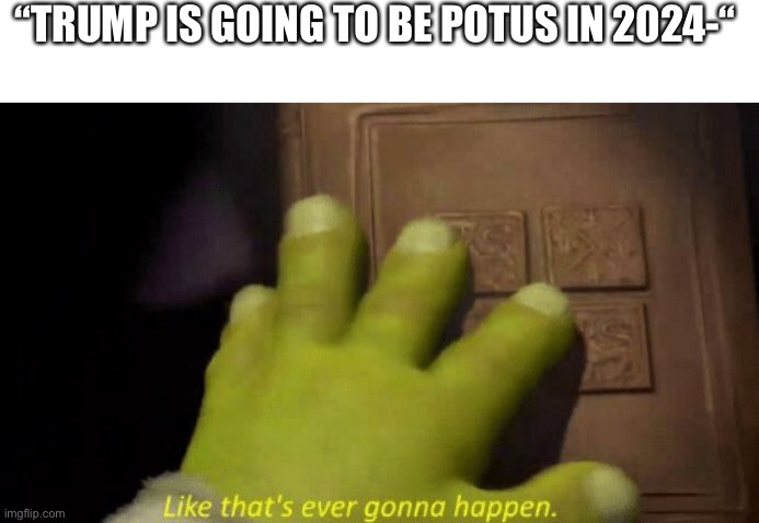 “TRUMP IS GOING TO BE POTUS IN 2024-“ | image tagged in blank white template,like that's ever gonna happen | made w/ Imgflip meme maker