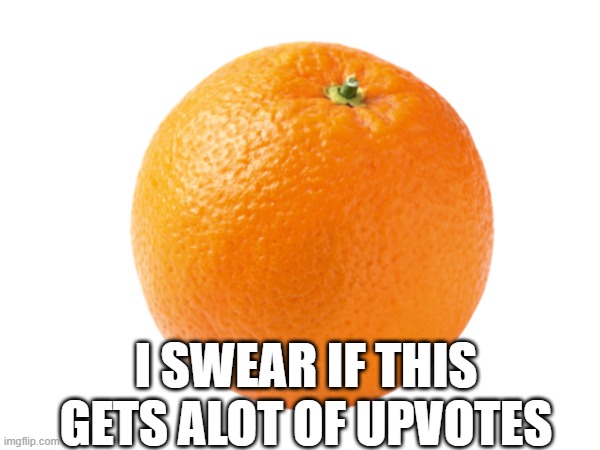 Just a orange. | I SWEAR IF THIS GETS ALOT OF UPVOTES | image tagged in orange,image,google images | made w/ Imgflip meme maker