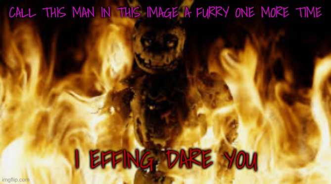 Springtrap, Freddy Fazbear, they are not furries! Fnaf is not a furry fandom! | CALL THIS MAN IN THIS IMAGE A FURRY ONE MORE TIME; I EFFING DARE YOU | image tagged in springtrap fire | made w/ Imgflip meme maker