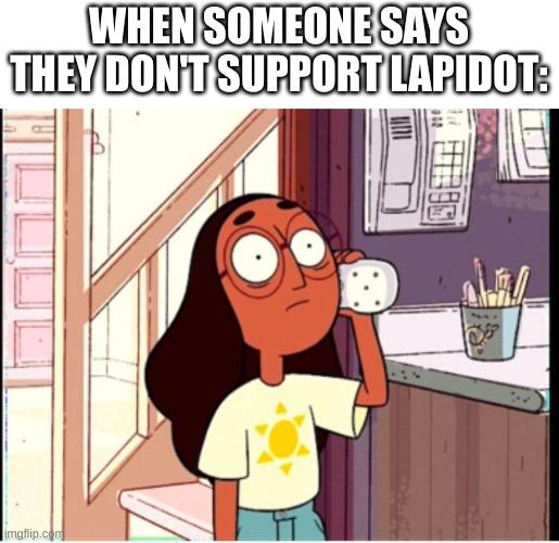 support lapidot | WHEN SOMEONE SAYS THEY DON'T SUPPORT LAPIDOT: | image tagged in when someone says they don't like peridot or lapis | made w/ Imgflip meme maker