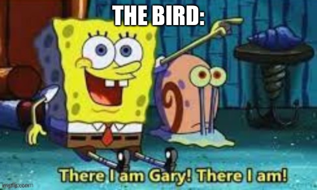 There I Am Gary! | THE BIRD: | image tagged in there i am gary | made w/ Imgflip meme maker