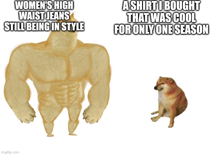 Big dog small dog | WOMEN'S HIGH WAIST JEANS STILL BEING IN STYLE; A SHIRT I BOUGHT THAT WAS COOL FOR ONLY ONE SEASON | image tagged in big dog small dog,funny,funny memes,clothes,clothing | made w/ Imgflip meme maker