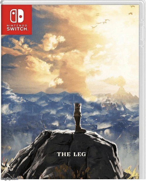 Nintendo Switch The Leg | image tagged in nintendo switch the leg | made w/ Imgflip meme maker