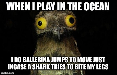 Weird Stuff I Do Potoo Meme | WHEN I PLAY IN THE OCEAN I DO BALLERINA JUMPS TO MOVE JUST INCASE A SHARK TRIES TO BITE MY LEGS | image tagged in memes,weird stuff i do potoo,AdviceAnimals | made w/ Imgflip meme maker