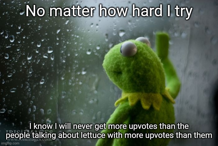 Image Title | No matter how hard I try; I know I will never get more upvotes than the people talking about lettuce with more upvotes than them | image tagged in kermit window,lettuce | made w/ Imgflip meme maker