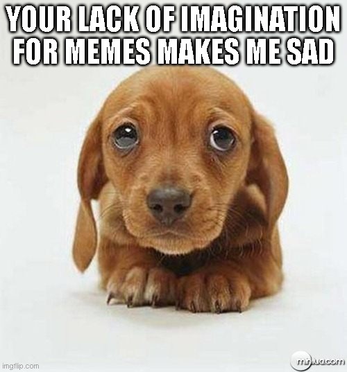 Quality over quantity. | YOUR LACK OF IMAGINATION FOR MEMES MAKES ME SAD | image tagged in sad puppy eyes | made w/ Imgflip meme maker