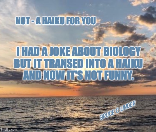 Not a Haiku | NOT - A HAIKU FOR YOU; I HAD A JOKE ABOUT BIOLOGY
BUT IT TRANSED INTO A HAIKU
AND NOW IT'S NOT FUNNY. BRUCE C LINDER | image tagged in haiku,jokes,biology | made w/ Imgflip meme maker