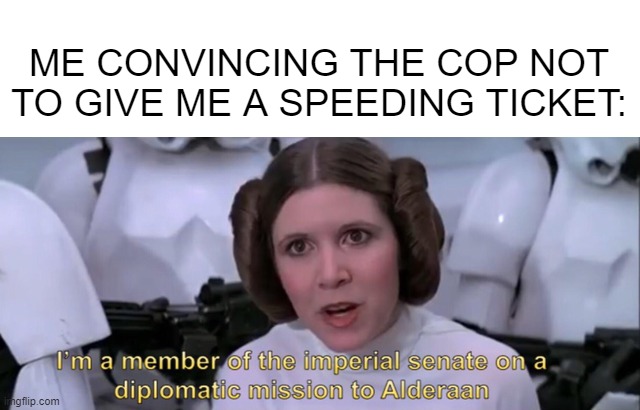 Wonder If It Works | ME CONVINCING THE COP NOT TO GIVE ME A SPEEDING TICKET: | image tagged in leia | made w/ Imgflip meme maker