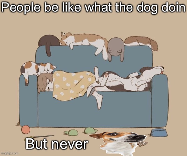 Avogado6 | People be like what the dog doin; But never | image tagged in avogado6 | made w/ Imgflip meme maker