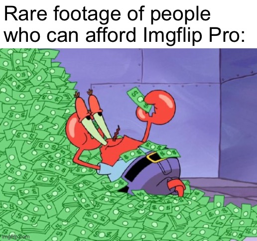 RICH | Rare footage of people who can afford Imgflip Pro: | image tagged in mr krabs money,money,rich,imgflip pro,imgflip | made w/ Imgflip meme maker