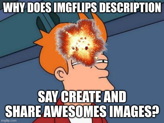 Futurama Fry Meme | WHY DOES IMGFLIPS DESCRIPTION; SAY CREATE AND SHARE AWESOMES IMAGES? | image tagged in memes,futurama fry | made w/ Imgflip meme maker