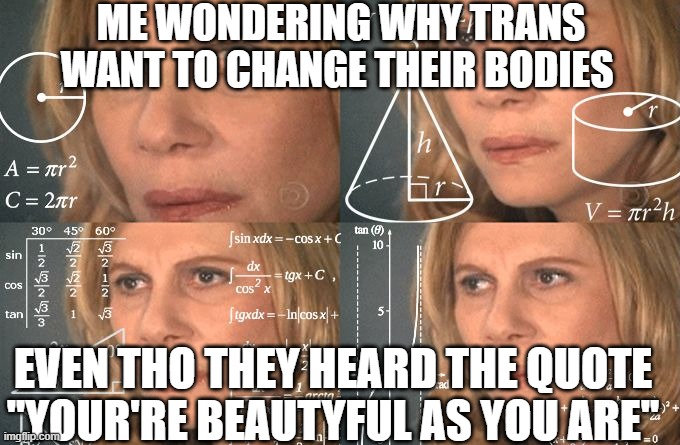 should i submit this to the LGTBQ stream? | ME WONDERING WHY TRANS WANT TO CHANGE THEIR BODIES; EVEN THO THEY HEARD THE QUOTE ''YOUR'RE BEAUTYFUL AS YOU ARE'' | image tagged in calculating meme | made w/ Imgflip meme maker