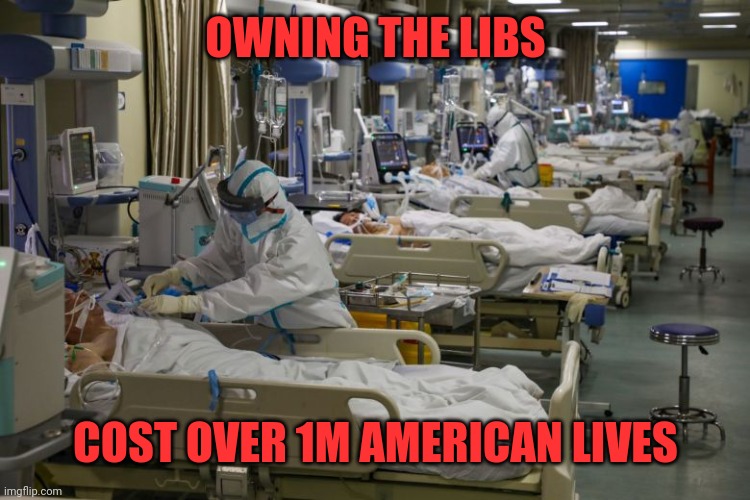 icu | OWNING THE LIBS COST OVER 1M AMERICAN LIVES | image tagged in icu | made w/ Imgflip meme maker