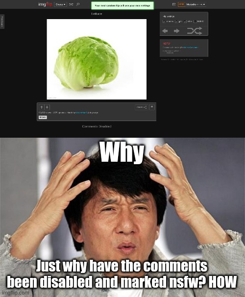 Why; Just why have the comments been disabled and marked nsfw? HOW | image tagged in why just why jackie chan | made w/ Imgflip meme maker