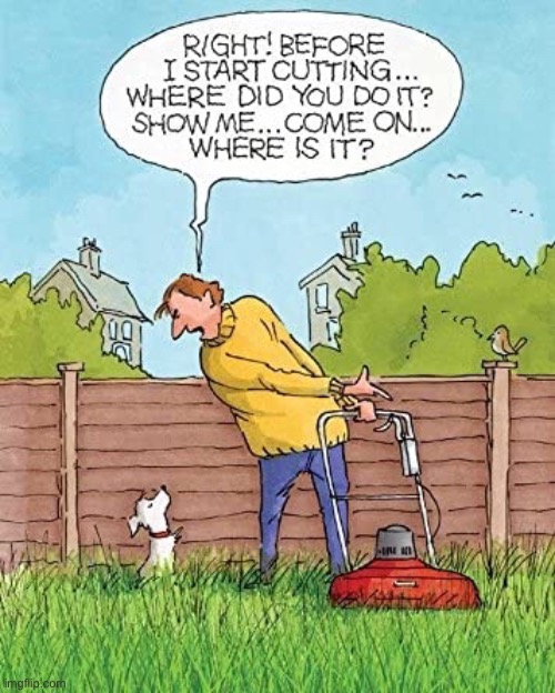 Grass cutting chore | image tagged in grass cutting,where did you crap,show me,cannot start,comics | made w/ Imgflip meme maker