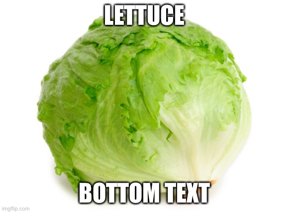 Lettuce  | LETTUCE; BOTTOM TEXT | image tagged in lettuce,bottom text | made w/ Imgflip meme maker