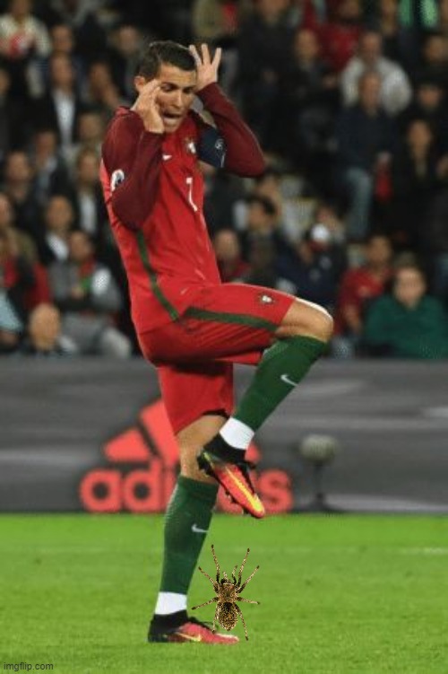 cristiano ronaldo Memes & GIFs - Imgflip