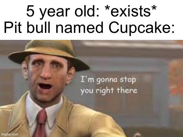 Title but clever | 5 year old: *exists*
Pit bull named Cupcake: | image tagged in pitbulls,5 year old | made w/ Imgflip meme maker