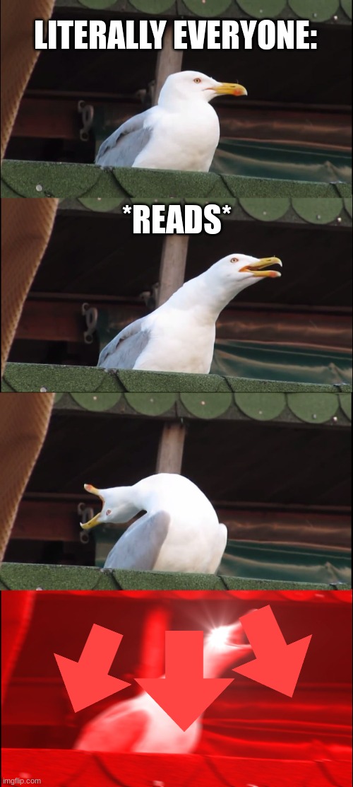 Inhaling Seagull Meme | LITERALLY EVERYONE: *READS* | image tagged in memes,inhaling seagull | made w/ Imgflip meme maker