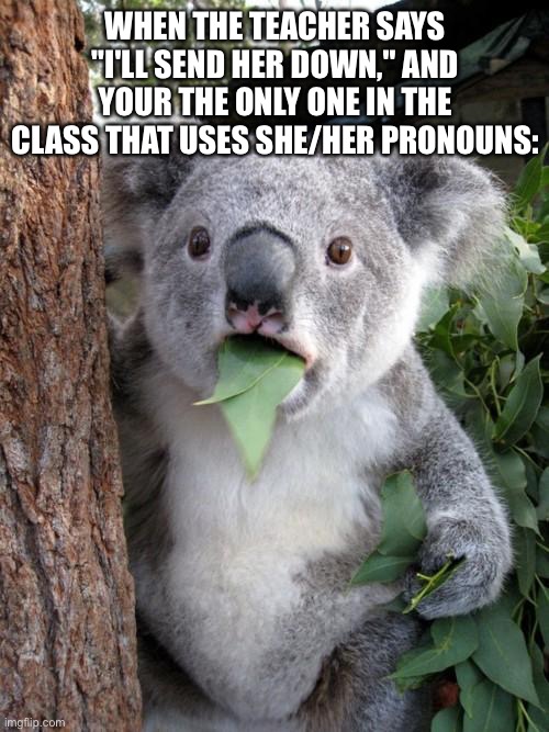 Based on a true story (it was a small class) | WHEN THE TEACHER SAYS "I'LL SEND HER DOWN," AND YOUR THE ONLY ONE IN THE CLASS THAT USES SHE/HER PRONOUNS: | image tagged in memes,surprised koala | made w/ Imgflip meme maker