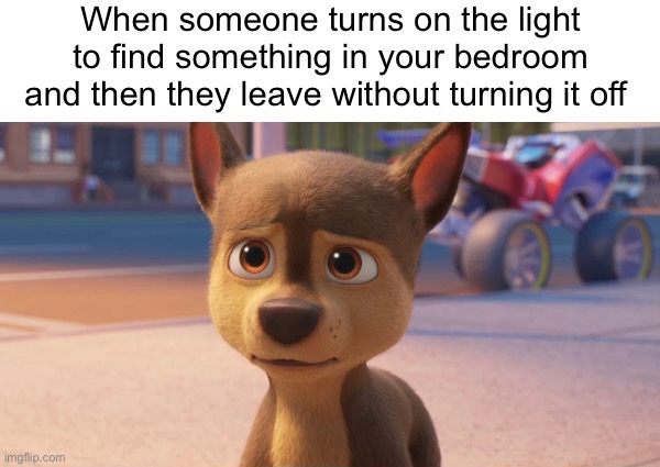 I’m blinded by the light! | image tagged in paw patrol,funny,memes,relatable,bedroom,light | made w/ Imgflip meme maker