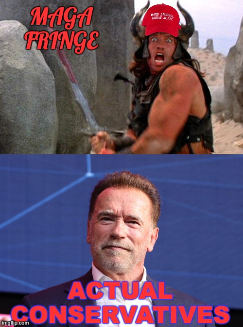 MAGA FRINGE ACTUAL
CONSERVATIVES | image tagged in conan the barbarian attacking | made w/ Imgflip meme maker