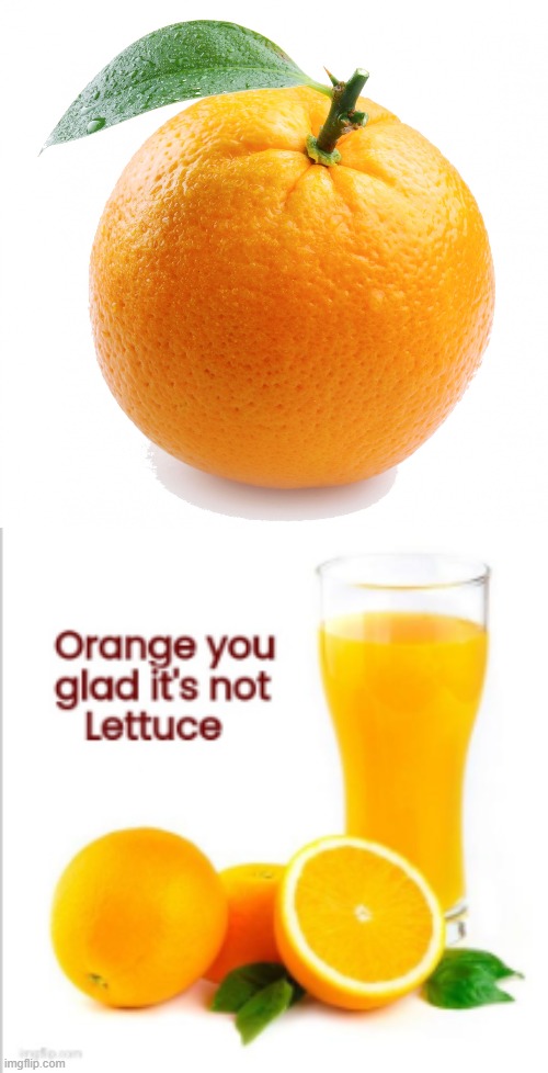 Orange | image tagged in orange | made w/ Imgflip meme maker