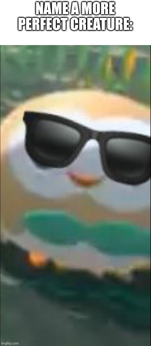 Cool ROWLET | NAME A MORE PERFECT CREATURE: | image tagged in cool rowlet | made w/ Imgflip meme maker