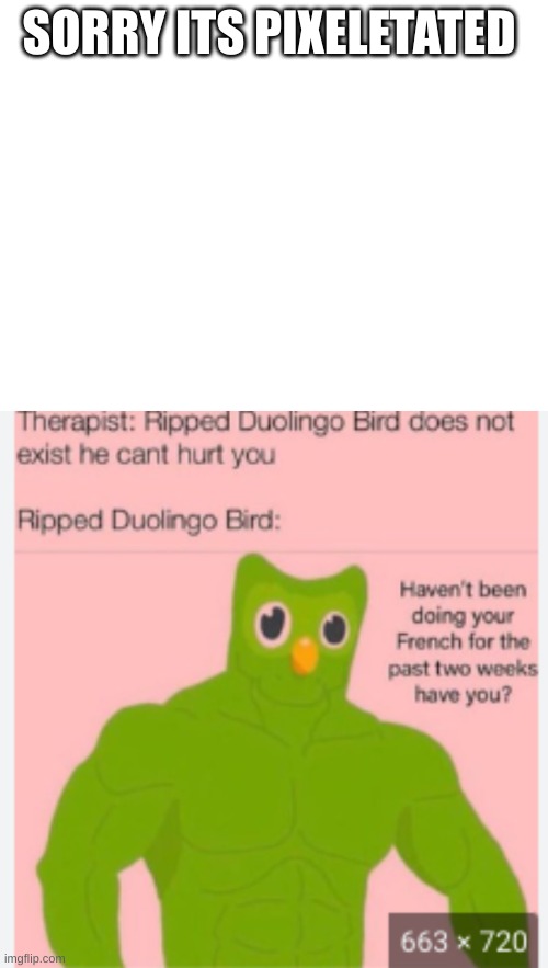 SORRY ITS PIXELETATED | image tagged in memes,funny,duolingo | made w/ Imgflip meme maker