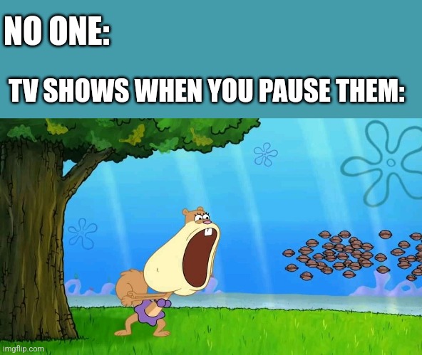 ACORN ATTACK!! | NO ONE:; TV SHOWS WHEN YOU PAUSE THEM: | image tagged in spongebob | made w/ Imgflip meme maker