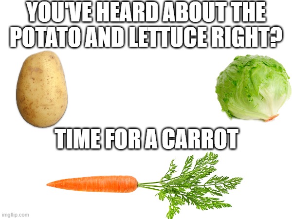 ok I don't love carrots but I mean... | YOU'VE HEARD ABOUT THE POTATO AND LETTUCE RIGHT? TIME FOR A CARROT | image tagged in memes | made w/ Imgflip meme maker