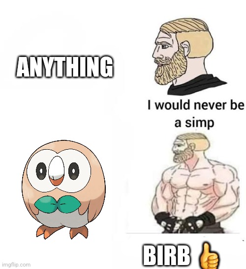 I would never be simp | ANYTHING; BIRB 👍 | image tagged in i would never be simp | made w/ Imgflip meme maker